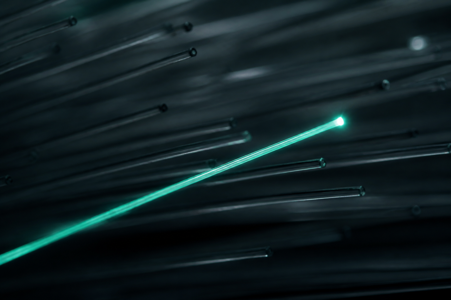 Dark fiber strands with one lit path